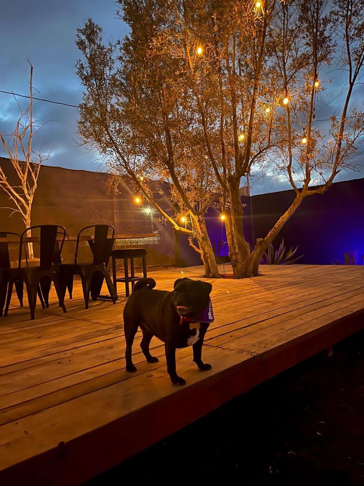 Finca Cazosa Valle de Guadalupe Exterior photo